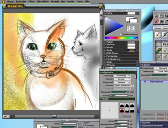 Cats